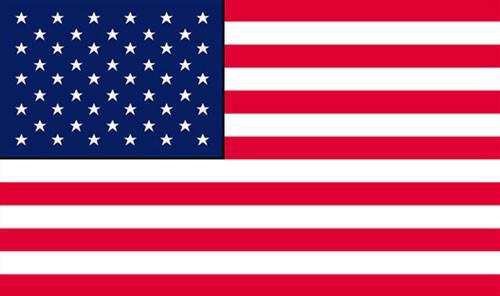 SYUSFLAG