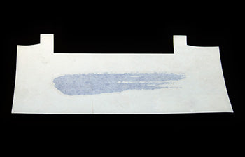 CR 069189-001